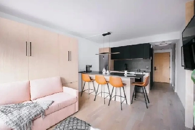 Loft studio entièrement meublé à louer Saint-Jean-Baptiste mars