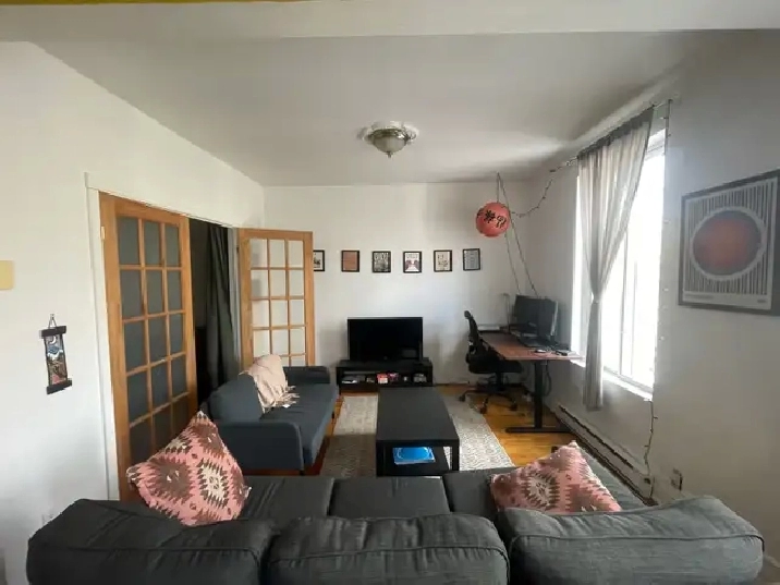 Photo 7
