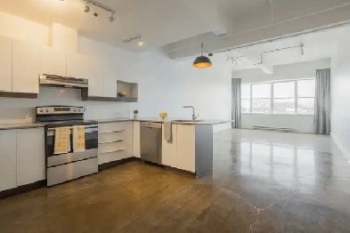 2 1/2, Studio,2.5, a louer, for rent, à Montréal, Mile-End