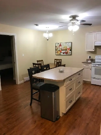 Quiet spacious 2bedroom with washer dryer storage room for Oct.1