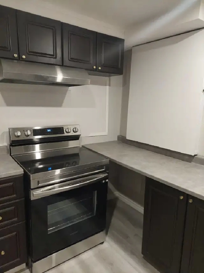 2 Bedroom Basement Apt - Ajax