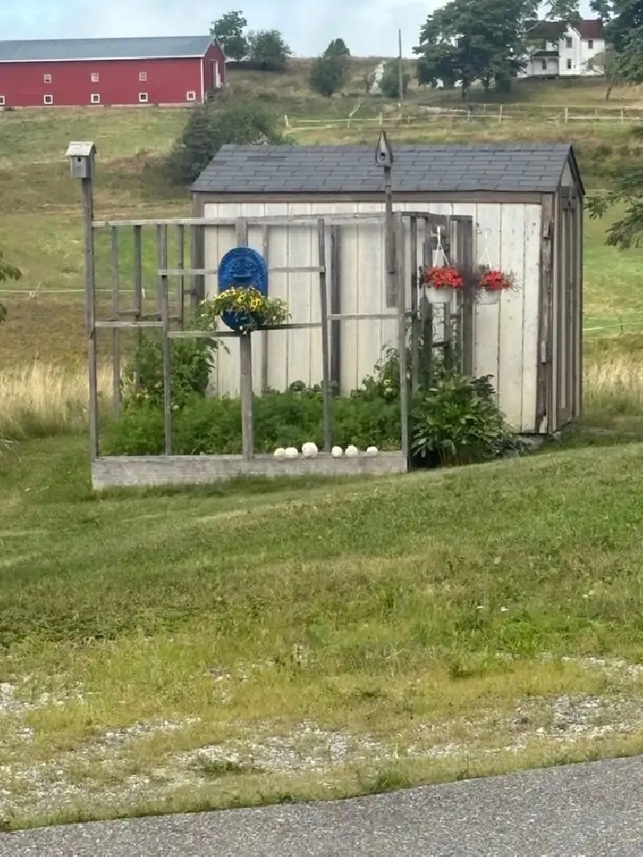 Photo 10