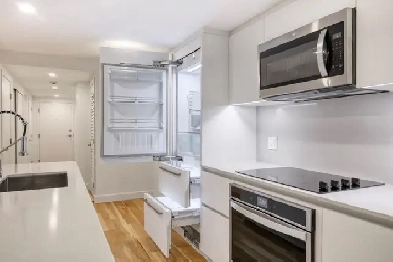 ground level renovated three bedroom near McGill - ID 4708