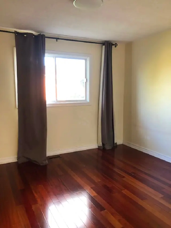 Quiet Room for rent