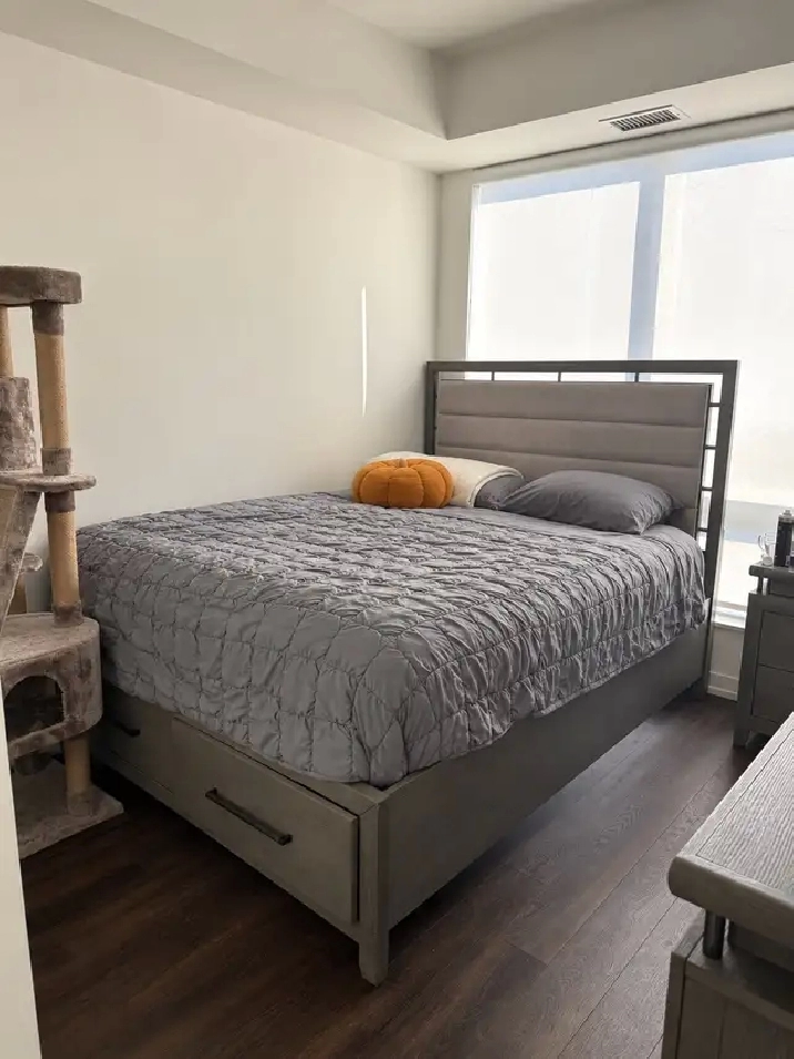 Female Roommate Wanted – Richmond Hill