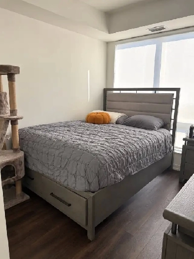 Female Roommate Wanted – Richmond Hill