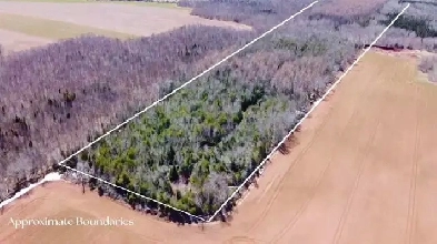 25 Wooded Acres Lyndale PEI MLS# 202608771