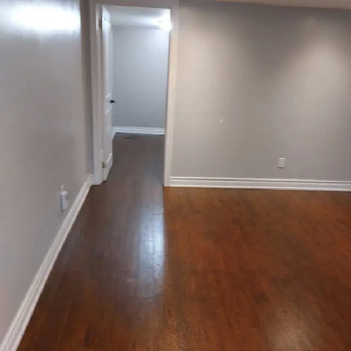 New basement apartment for rent midland/kingston rd near bluffs