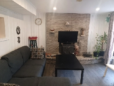 Walkout 1 Bedroom Basement Apartment