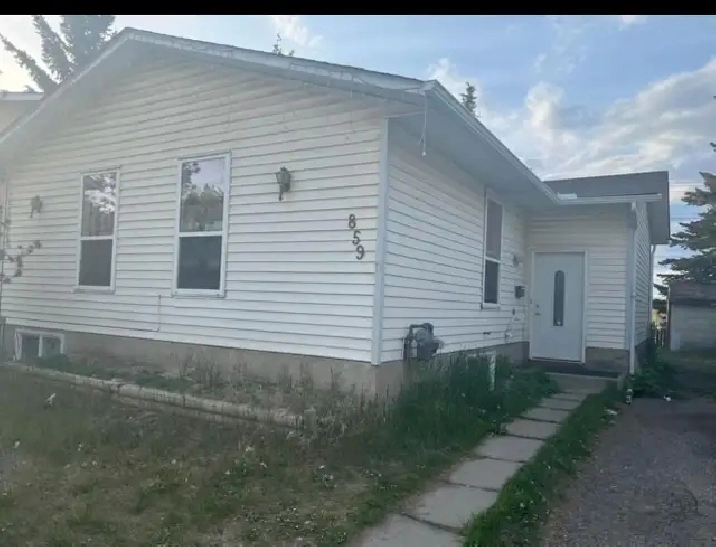 Basement for Rent