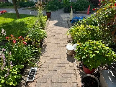 Ideal location. close to all amenities