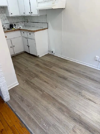 Grande 3 1/2 à Ahuntsic