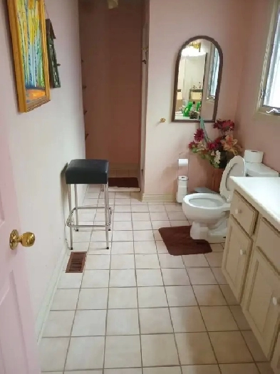 Live in a room in a Mansion in St. Catharines-Roomies Wanted