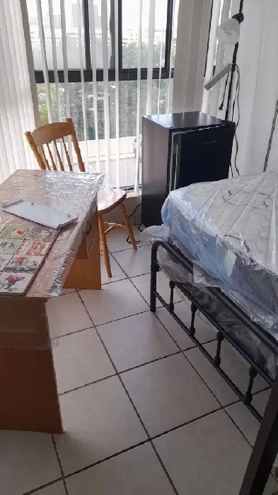 Room Rental - Brampton - Female Student - $550