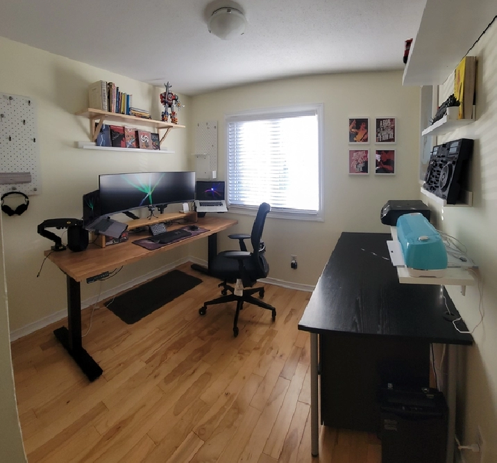 Photo 11