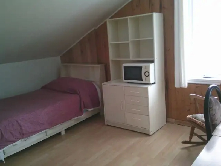 Photo 5