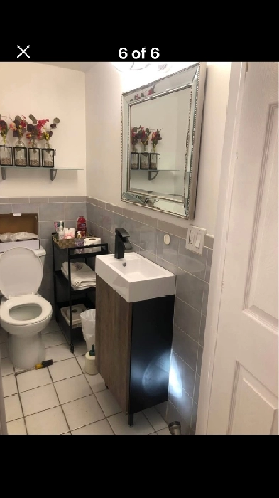 Bachelor Appartment  $975 all incl.