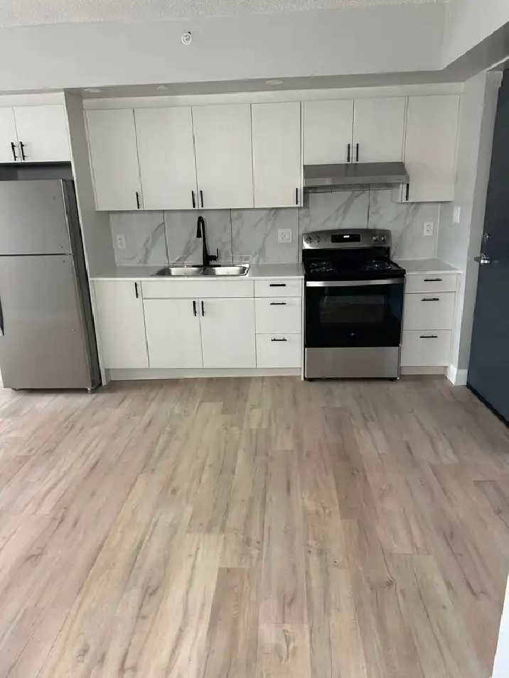 Brand New One Bedroom Available October Minnow Lake