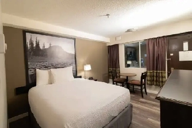 1 Bed 1 Bath Apartment
