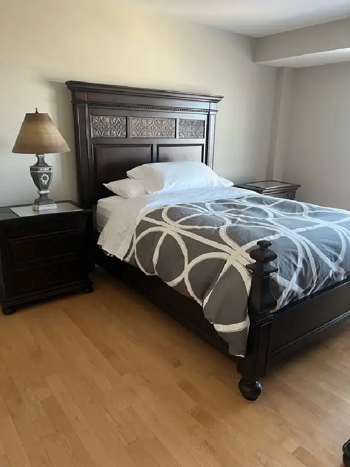 furnished executive luxury condo