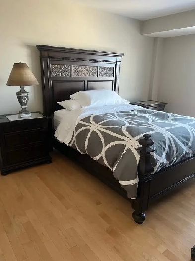 furnished executive luxury condo