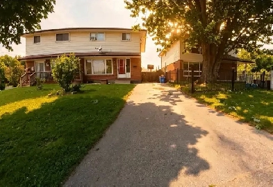 Newly renovated 1 bedroom basement apartment for rent