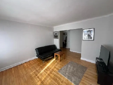 Studio Apartment in Ottawa East (Vanier)