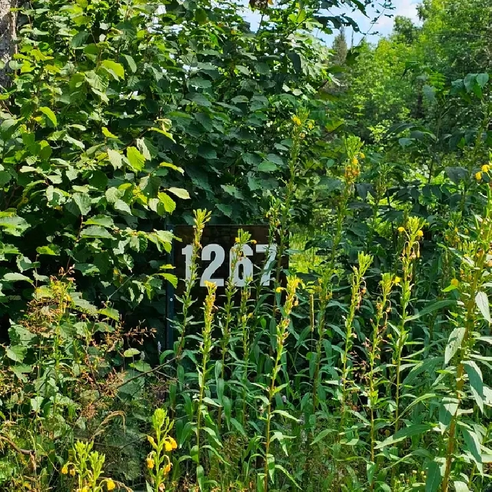 Waterfront Vacant Land - 1267 Snake Creek Rd, Mattawan Twp, On