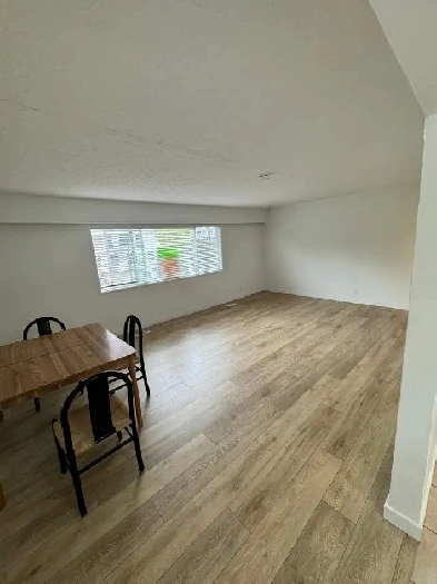 Sunny and spacious top level apartment near Riley Park!