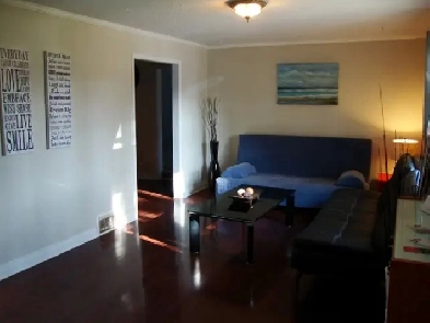 One basement room available for rent in a house near UTSC