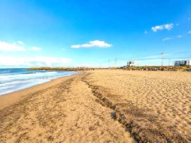 Beachfront / Waterfront Land, a rare find- JUST REDUCED $199,900