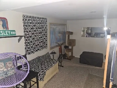 High Park One bedroom