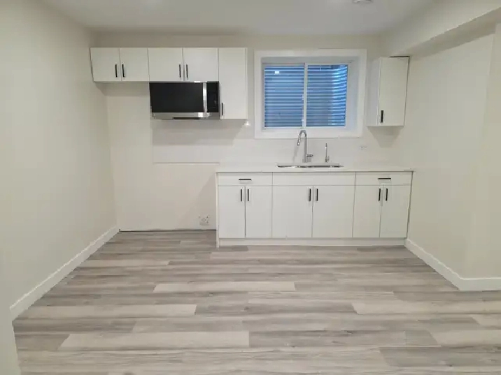 1 bedroom basement suite in The Greens