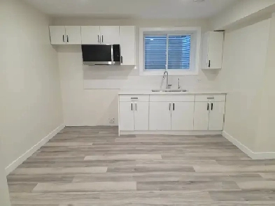 1 bedroom basement suite in The Greens