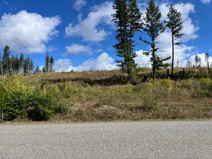 Land in Williams Lake BC