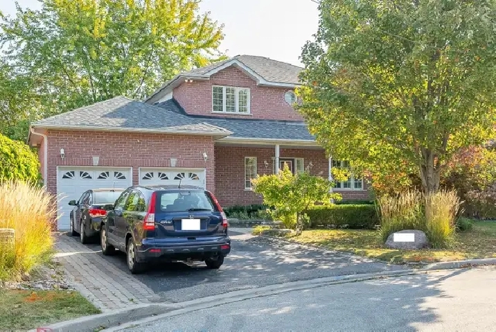 2 BR Walkout Basement Apartment Rent in Prime Location Newmarket