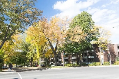 3 1/2 Ste-Foy - Tout inclus - cégep Garneau-oct.