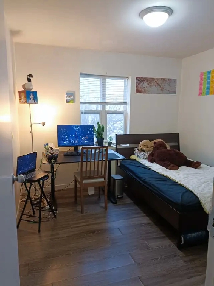 1 bedroom winter sublet