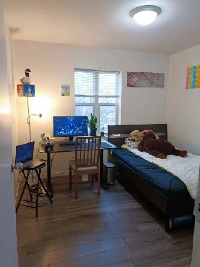 1 bedroom winter sublet