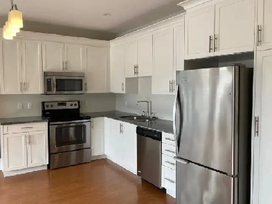 1 Bedroom/1 bathroom / $1995/ Shiraz Gardens