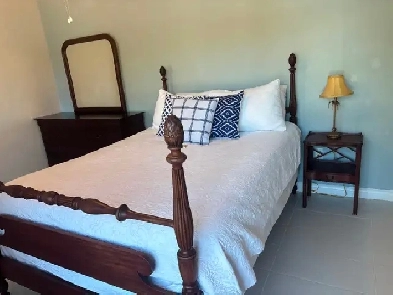 Walkout basement suite: monthly rental December 2026-March 2027