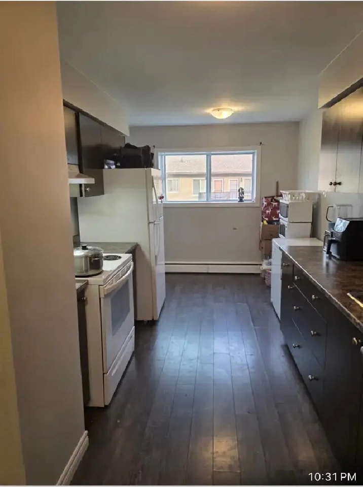 2 bedroom newly renovated apartment 16 windsor st