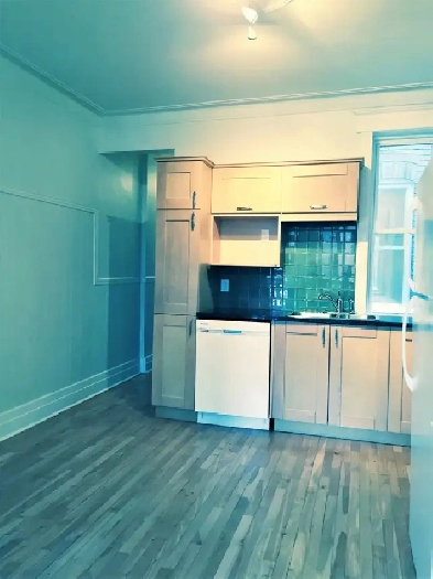 BEAUTIFUL & CHARMING 4 1/2 FOR RENT IN THE PLATEAU