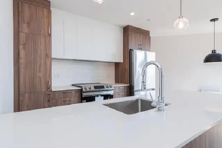 Spacious 1 Bed / 1 Bath Apartment in LaSalle