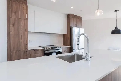 Spacious 1 Bed / 1 Bath Apartment in LaSalle