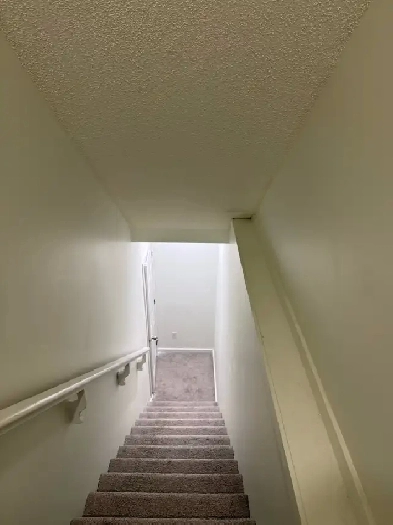 Basement for Rent