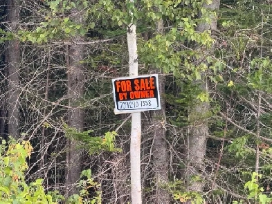 1-Acre Pristine Cabin/Homestead Lot – Cormack, NL