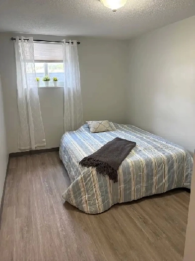 Female Room for Rent - 1 min walk to WLU & UofW