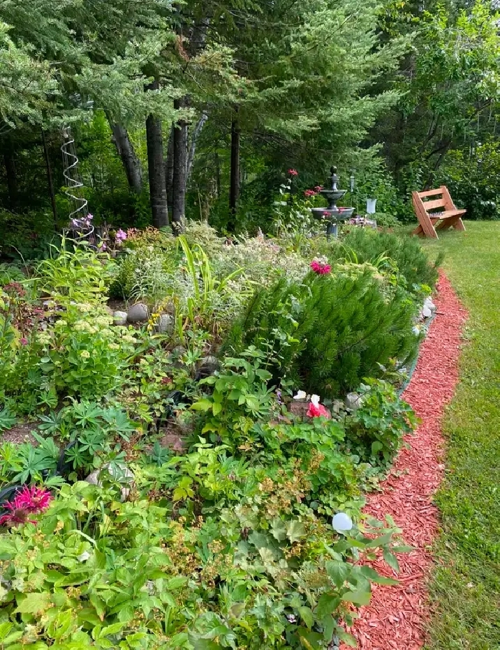 Photo 8