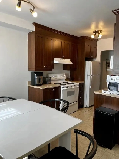 BEAUX GRAND 4½ A LOUER, STYLE CONDO ET RÉNOVER